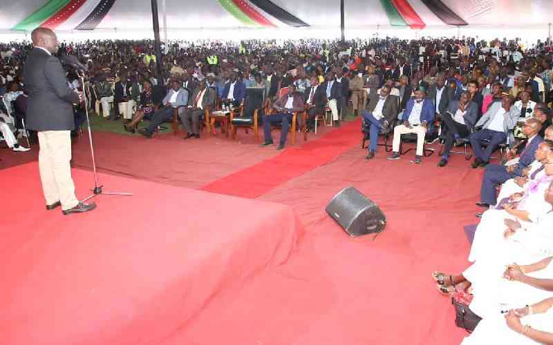 Ruto pledges to reduce unga, fertiliser prices next week