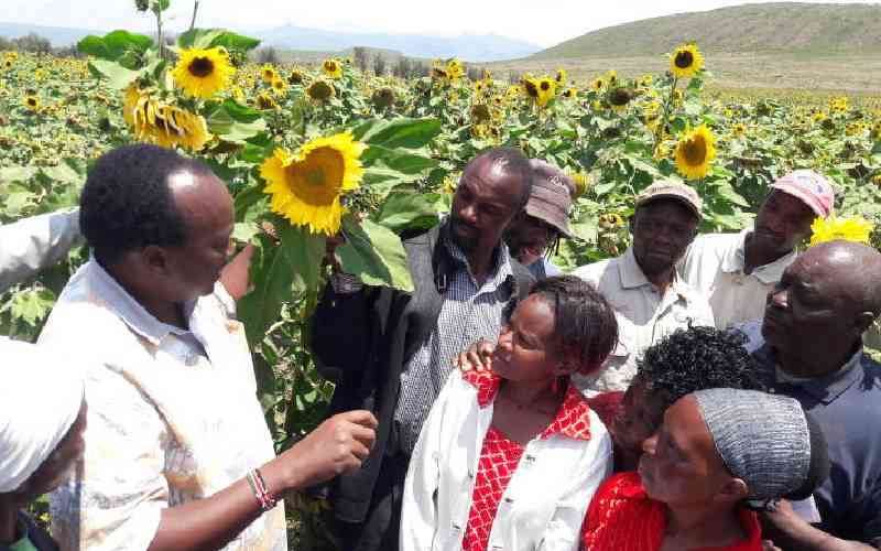Unlock agribusiness through the declaration on soil and fertiliser