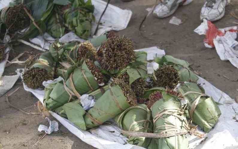 CS Murkomen's order on miraa sparks outrage in Meru
