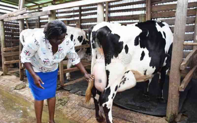 Finance barriers hinder women-led dairy enterprises