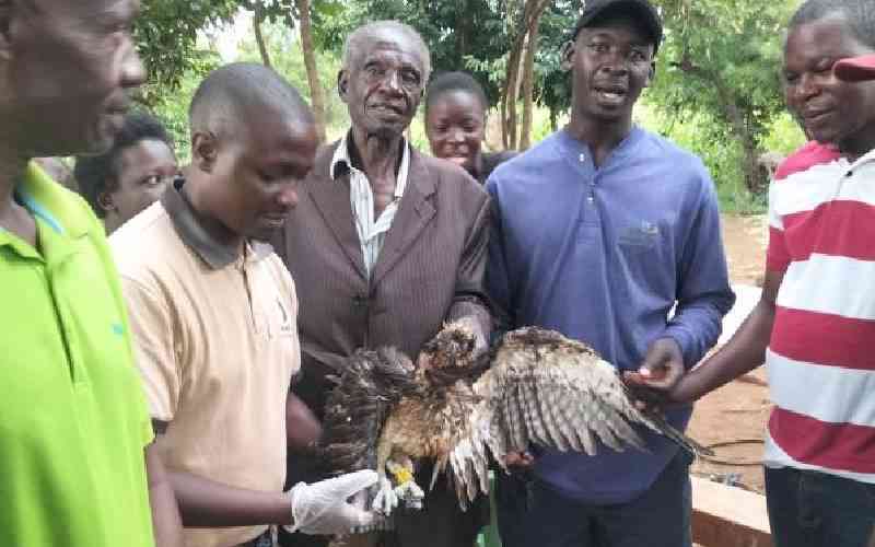 Scholars call for reforms to save rare birds