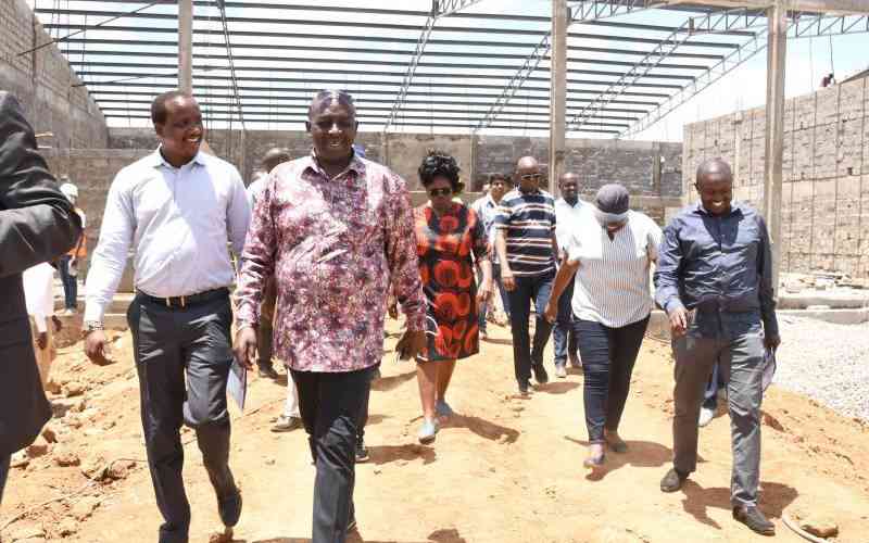 Turkish investor secures over 400 acres at Naivasha's industrial park