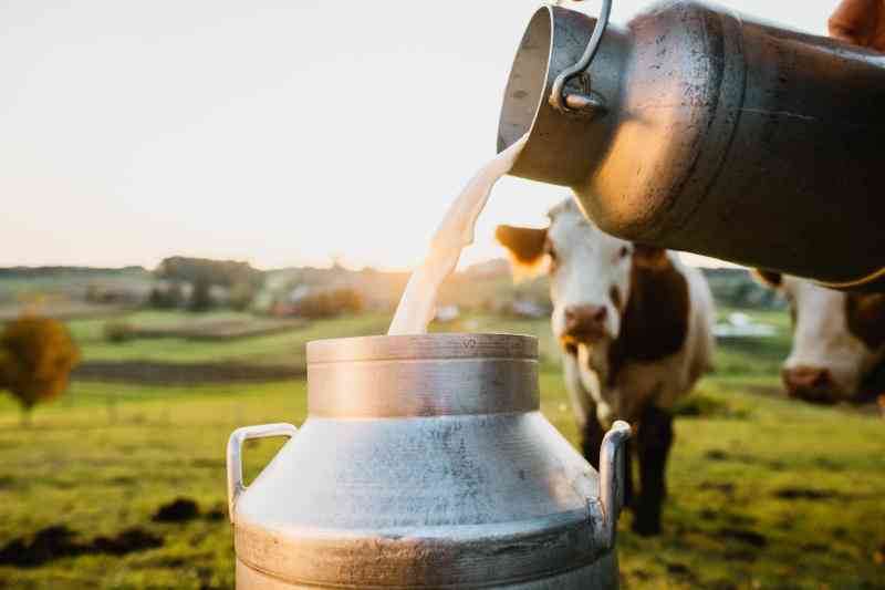 Is your milk safe? Understandi...