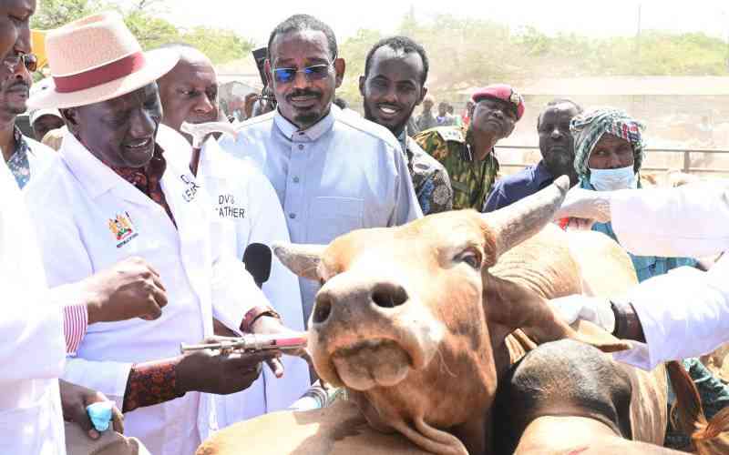 Why Ruto's livestock vaccination campaign is drawing criticism from veterinarians