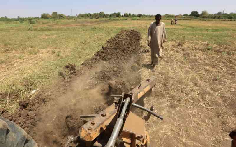 Sudanese farmers strive for food sufficiency as conflict rages