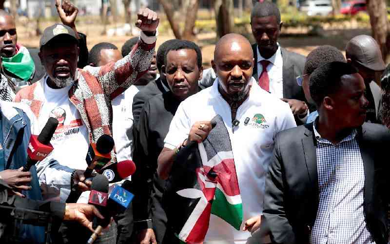 Activists urge Kenyans to vote out leaders undermining the Constitution