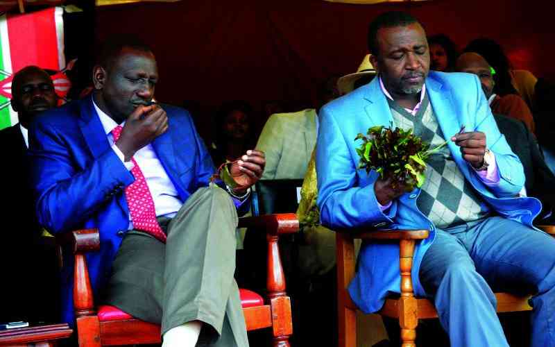 How Miraa controls Meru politics