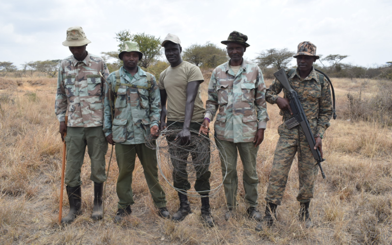 The hands silently battling Kenya's poaching crisis