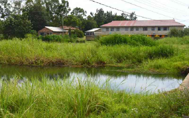 Wetlands: Overlooked ecosystem that impacts housing costs and health