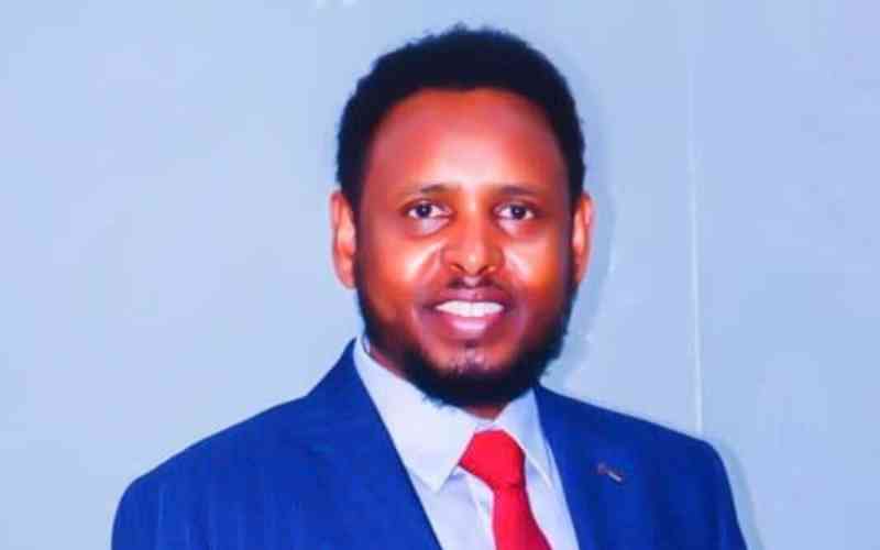 Somalia's elections: An imperfect but historic milestone