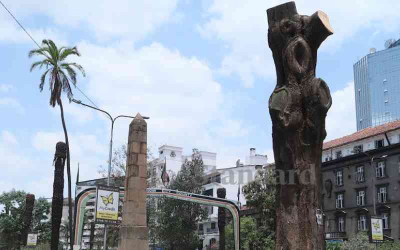 Origin of tree that gave Nairobi County exotic beauty