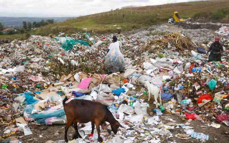 Gioto kids: A childhood buried in garbage, rescued by education