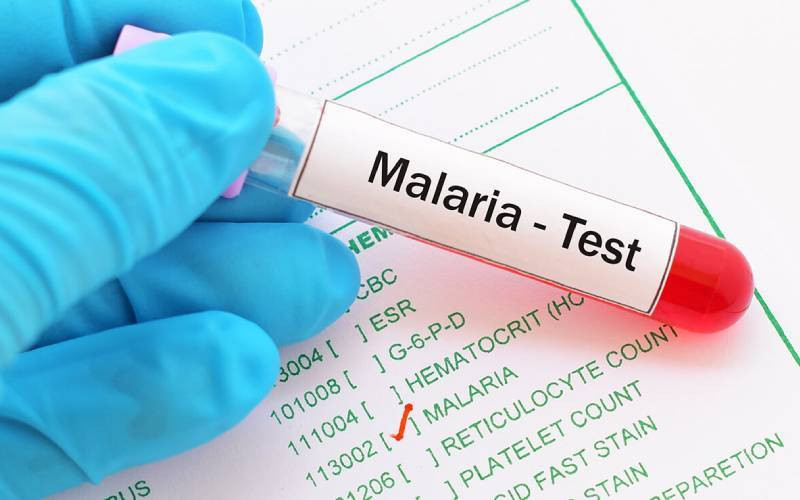 Hopes and gaps: Turning point in malaria fight, not a finish line