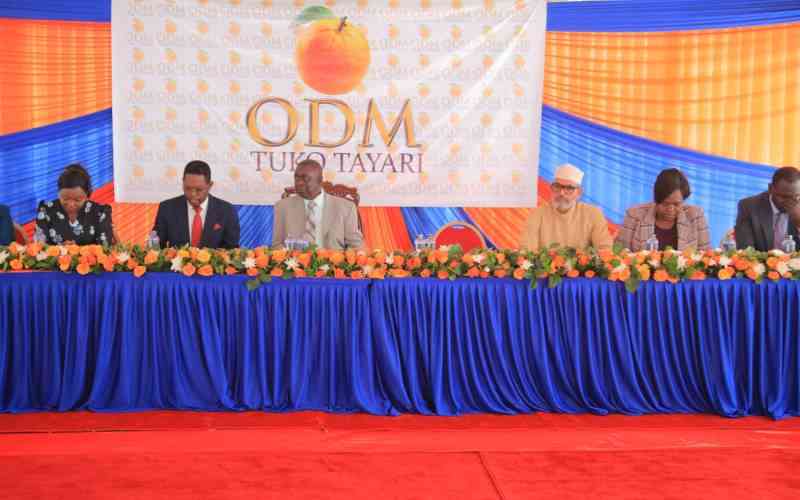 ODM sets 2027 coalition terms as UDA rejects electoral zoning demand