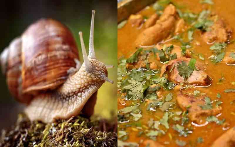 Woman charged after spiking co-worker's curry with snail poison