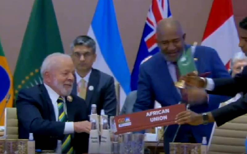 Arab League welcomes African Union's membership in G20