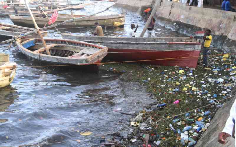 How plastic 'jelly fish' and 'squid' are killing marine animals