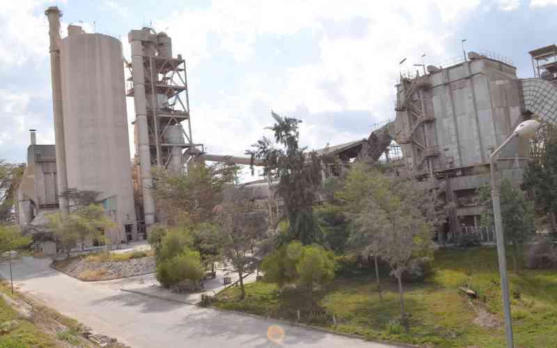 Tanzanian tycoon snaps up NSSF's stake in Portland for Sh1.6b