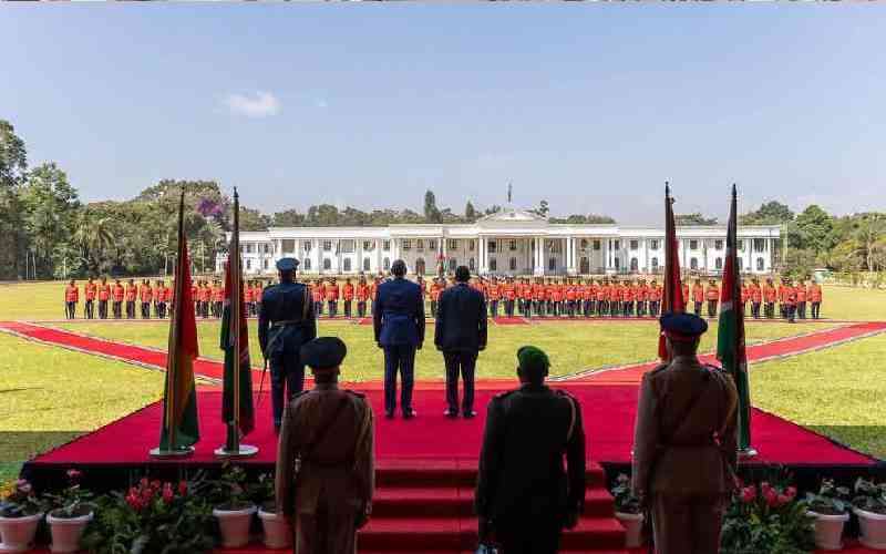 It was imprudent to entrust Chinese with State House refurbishment