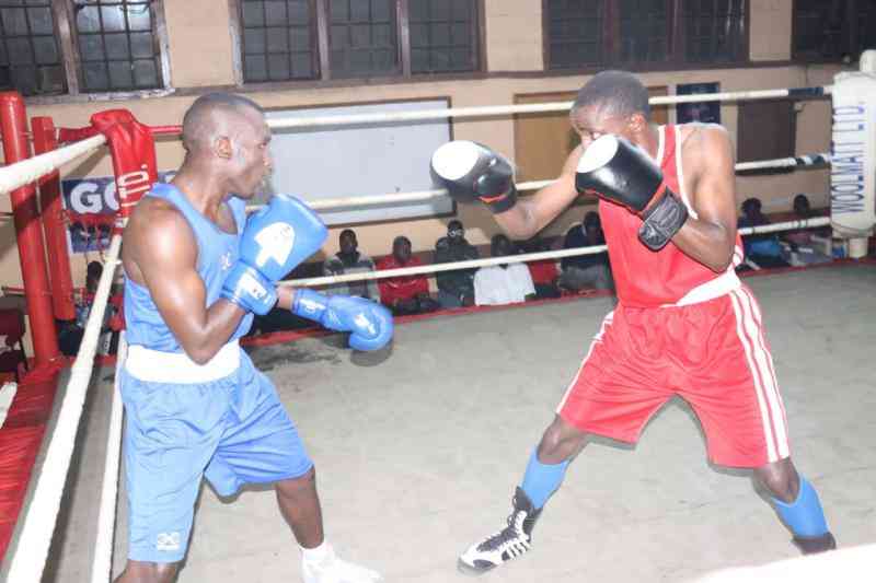 Boxers now shift focus to Olympics