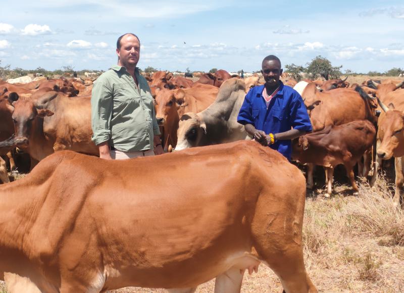 How I turned idle dryland into a golden beef venture