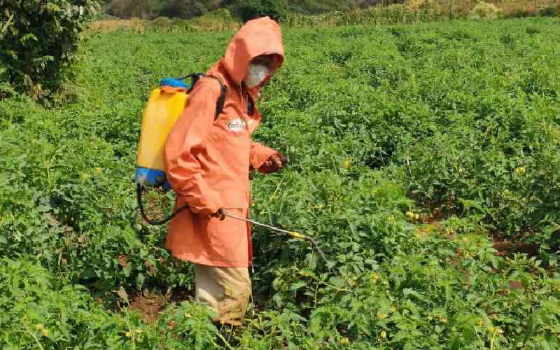 Are pesticides to blame for rising cancer burden?