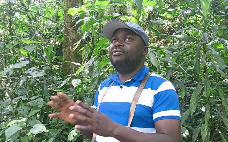 Governor Barasa calls on national government to handover management of Kakamega forest