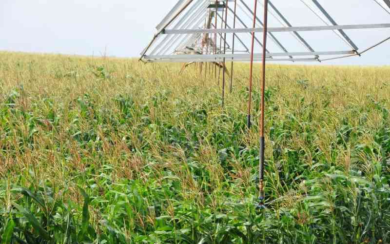 Why Israeli's massive land in Nakuru has raised eyebrows