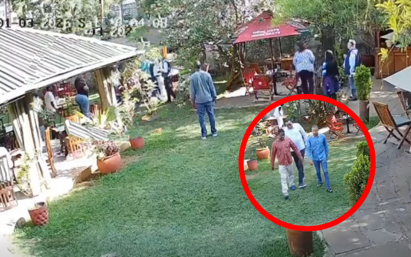 CCTV footage shows Robert Alai clashing with Babu Owino, pulling gun in heated argument