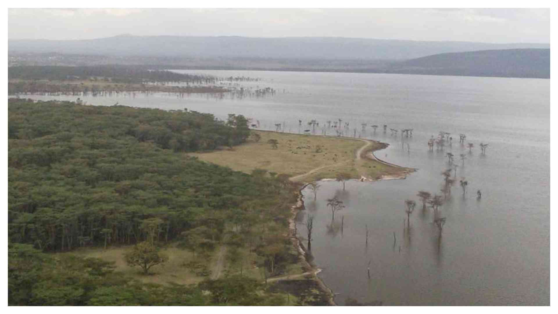 There is more than just watching birds at Lake Nakuru