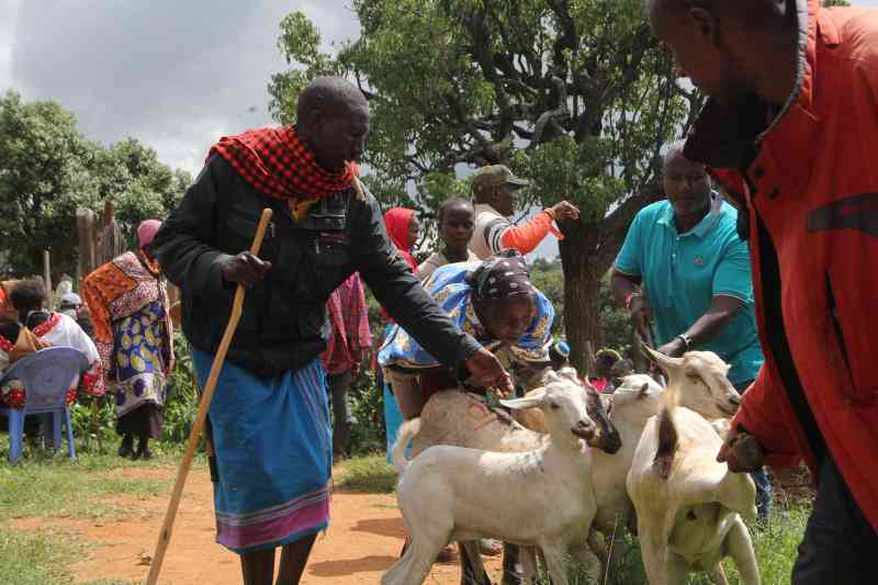 Residents benefit from 700 goats in restocking programme