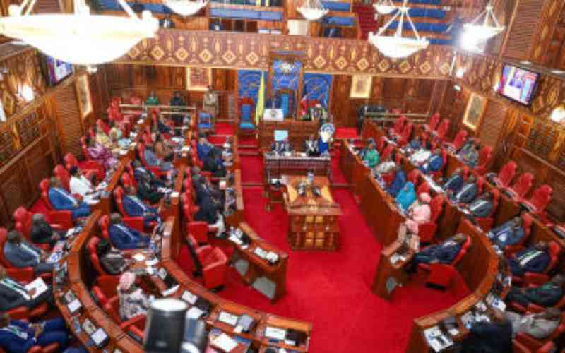 Finance Bill 2025 referred to Committee for consideration