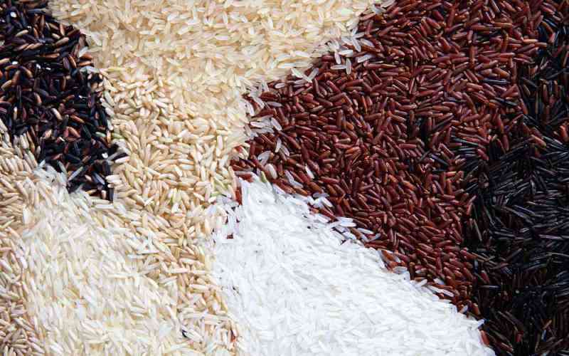 KALRO hosts first Korea-Africa Food and Agriculture Cooperation Initiative rice symposium in Africa