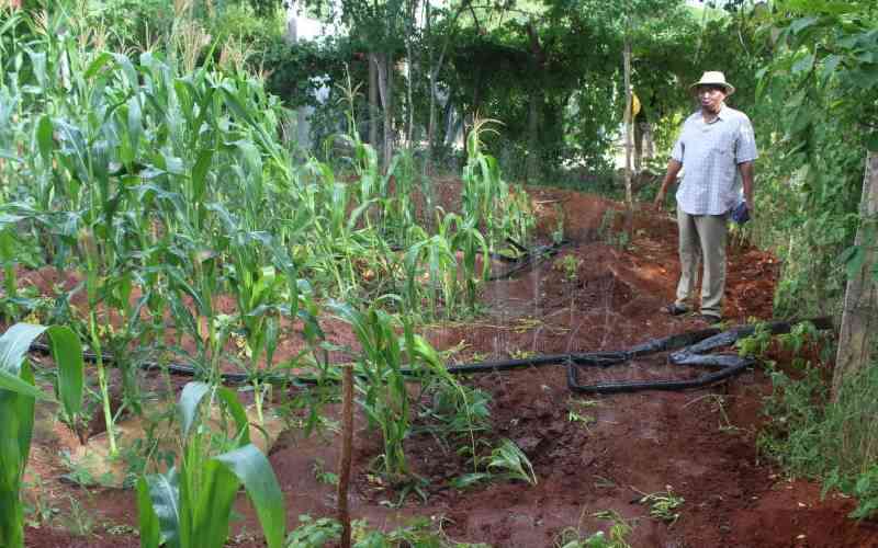 Green tech no longer a future ambition but a trade revolution