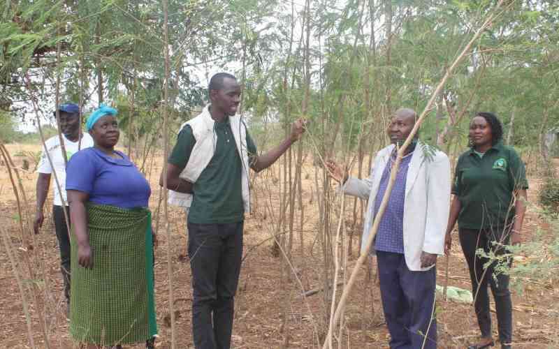 Community to plant 2m trees in efforts to conserve Chyulu hills