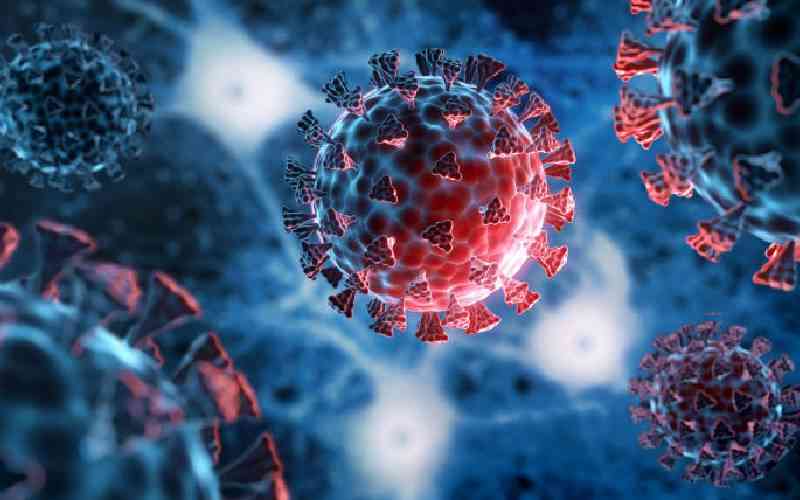 From Monkey pox, Covid-19 and Nipah virus: Why animal-to-human diseases are on the rise