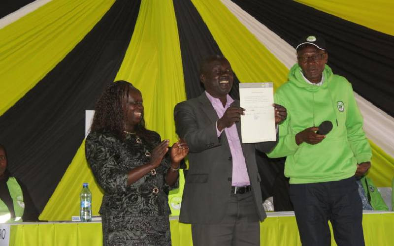Ruto's party wins Senate, MP seats in by-elections