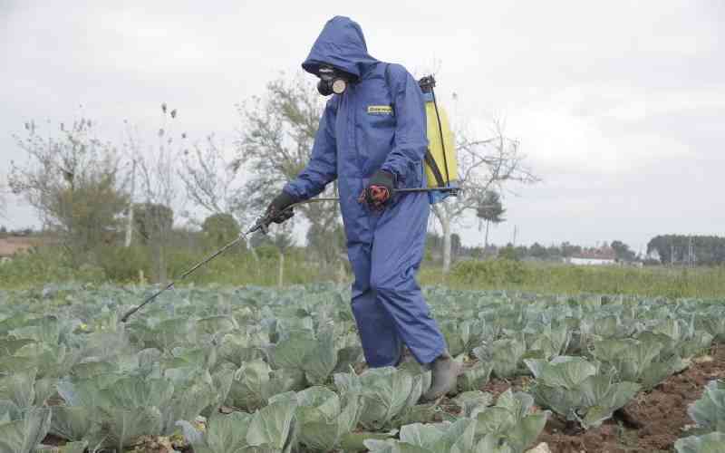 Alarm over banned pesticides still in use in Kenya