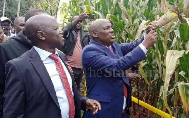 Maize farmers to wait longer for cereals board to open its stores