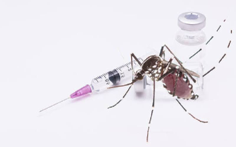 Kenya steps up war on Rift Valley Fever and Brucellosis with new plans to protect humans and livestock