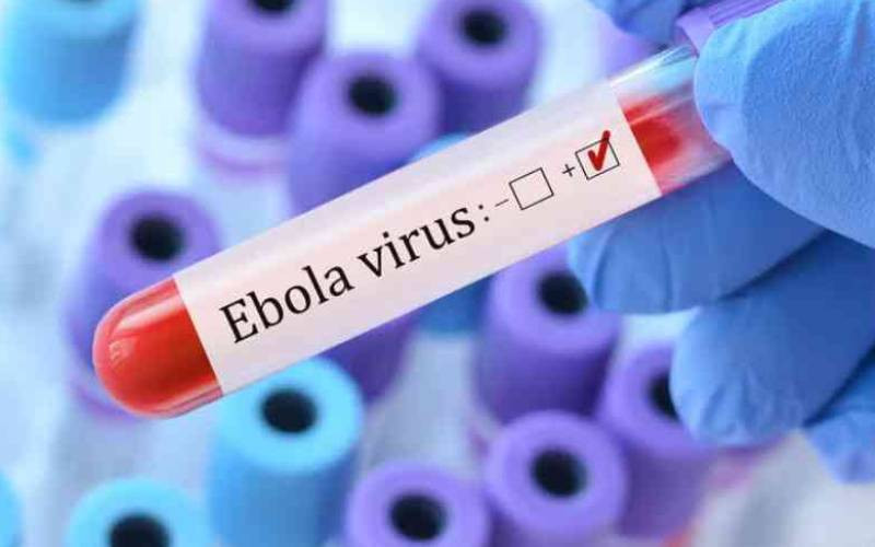 Ebola science race: Vaccines and drugs tested against Bundibugyo virus