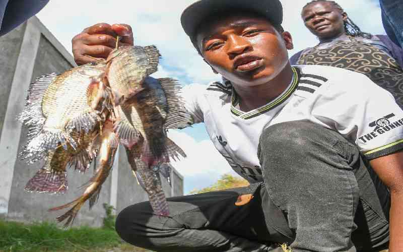 To eat or not to eat? Inside the science and politics of Lake Nakuru fish