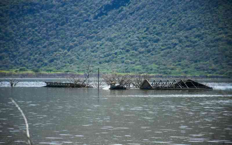 Report warns of rising threats on key biodiversity areas