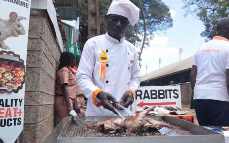 Rabbits rearing: Here is where the money is