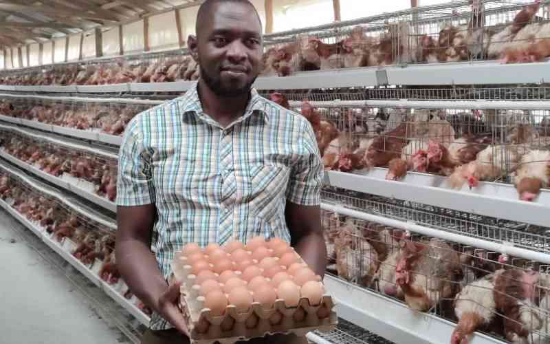 The key to a robust poultry enterprise