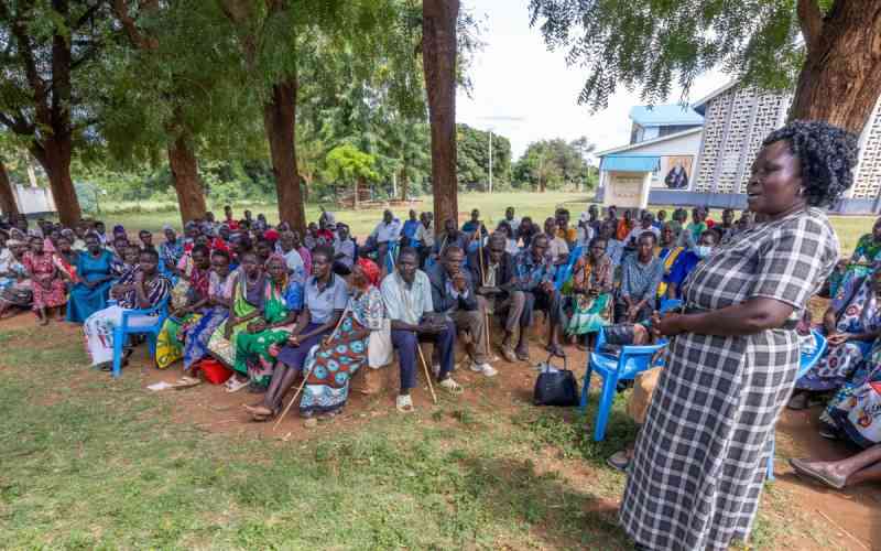 Residents turn to coffee, bamboo as Cherangany forest loss worsens