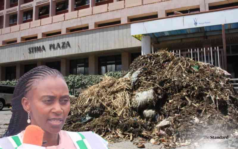 Clean up Stima Plaza mess, Health PS orders City Hall