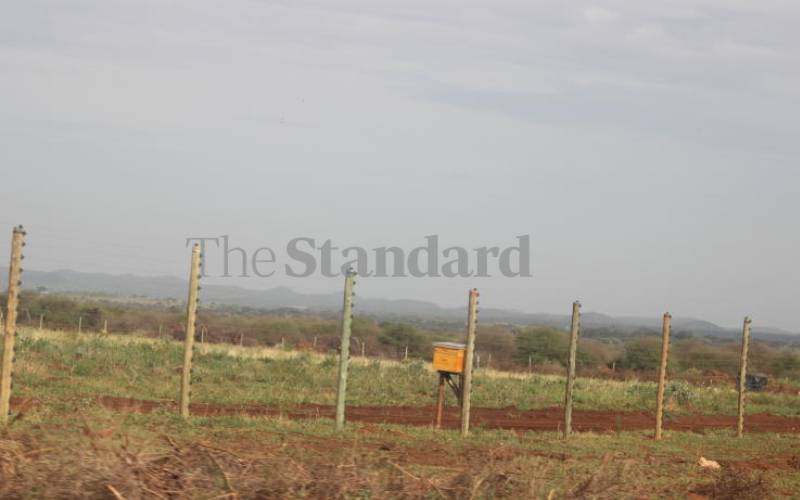 Seven arrested, 7 stop orders handed out in Amboseli crackdown by NEMA
