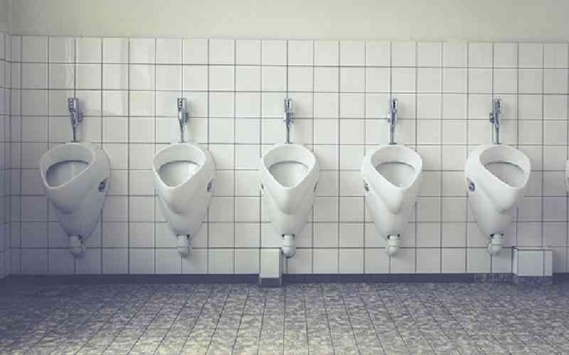 What the height of toilet bowls say about the quality of life in Togo and Senegal
