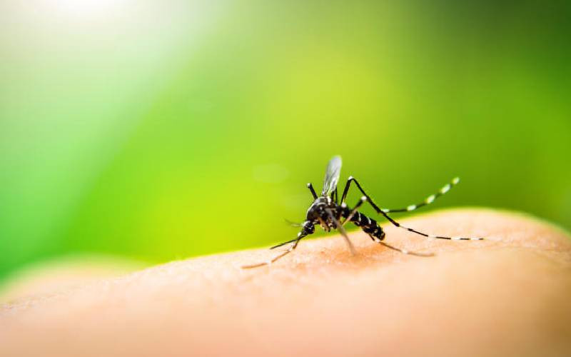 Solar-powered mosquito trapping system launched